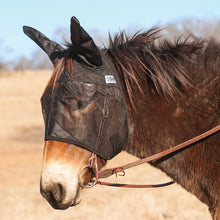 Load image into Gallery viewer, DS26 Cashel Quiet-Ride Fly Mask with Ears for Mules & Donkeys, Riding Comfort