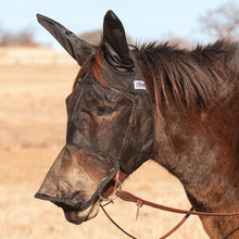 Load image into Gallery viewer, DS26 Cashel Quiet Ride Fly Mask with Long Nose & Mule Ears