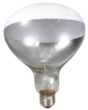 Load image into Gallery viewer, DS26 Clamp-On Brooder Heat Lamp for Chicks & Poultry - Compatible with 250W Red & Clear Heat Bulbs