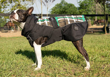 Load image into Gallery viewer, DS26 All Weather Dog Coat
