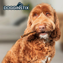 Load image into Gallery viewer, DS26 Dogginstix Braided Lamb Collagen Dog Chew – Long Lasting, Digestible, High Protein Rawhide Alternative
