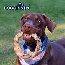 Load image into Gallery viewer, DS26 Dogginstix Braided Lamb Collagen Ring Chew Dog Treat – Natural, Grass-Fed, Low Fat