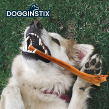 Load image into Gallery viewer, DS26 Dogginstix Bully Stick Dog Chew, All-Natural, Grass-Fed Beef, Odor-Free