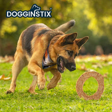 Load image into Gallery viewer, DS26 Dogginstix Lamb Collagen Cosmic Donut Dog Chew & Toy – Natural, Grass-Fed, Low Fat