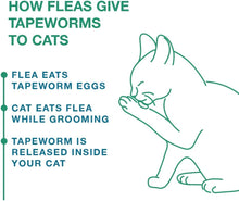 Load image into Gallery viewer, DS26 Elanco Tapeworm Cat Dewormer, 3 Tablets