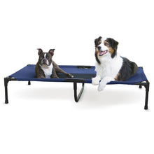 Load image into Gallery viewer, DS26 K&H Elevated Dog Bed, Small to X-Large