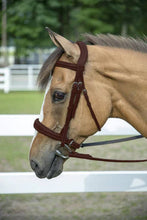 Load image into Gallery viewer, Henri de Rivel Pro Mono-Crown Padded Wide Noseband Bridle