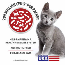 Load image into Gallery viewer, Jeffers BELLY BUDDY Probiotic Supplement Packets for Cats – Multi-Strain Digestive & Immune Support