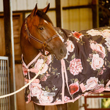 Load image into Gallery viewer, Jeffers Expression 1200 Denier Standard Neck Horse Turnout Sheet, 0 Gram