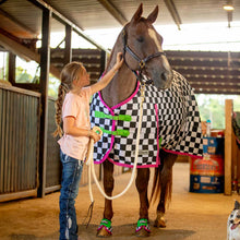 Load image into Gallery viewer, Jeffers Expression 1200 Denier Standard Neck Turnout Horse Blanket, 240 Gram