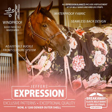 Load image into Gallery viewer, Jeffers Expression 1200 Denier Standard Neck Turnout Horse Blanket, 240 Gram