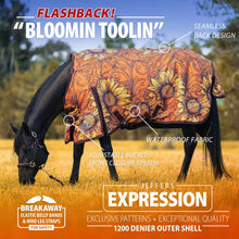 Load image into Gallery viewer, Jeffers Expression 1200 Denier Standard Neck Horse Turnout Sheet, 0 Gram