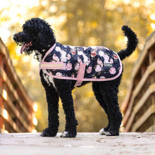 Load image into Gallery viewer, Jeffers Expression 600D Waterproof Ripstop Dog Coat, 240 Gram
