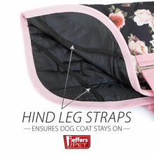 Load image into Gallery viewer, Jeffers Expression 600D Waterproof Ripstop Dog Coat, 240 Gram