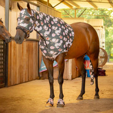 Load image into Gallery viewer, Jeffers Expression Lycra Hood for Horses