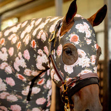 Load image into Gallery viewer, Jeffers Expression Lycra Hood for Horses