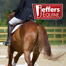 Load image into Gallery viewer, Pre-Sale Jeffers Expression Softmesh Combo Neck Horse Fly Sheet
