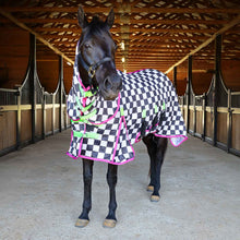 Load image into Gallery viewer, Pre-Sale Jeffers Expression Softmesh Combo Neck Horse Fly Sheet
