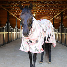 Load image into Gallery viewer, Pre-Sale Jeffers Expression Softmesh Combo Neck Horse Fly Sheet