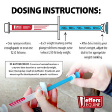 Load image into Gallery viewer, DS26 Jeffers Ivermectin Horse Dewormer Gel, Apple Flavored