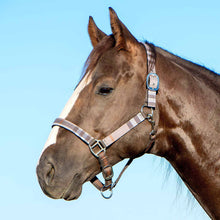 Load image into Gallery viewer, DS26 Jeffers Matching Horse Halter & Lead Rope 2 Piece Set, Full Size