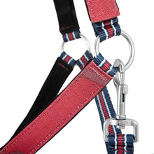 Load image into Gallery viewer, DS26 Jeffers Matching Horse Halter & Lead Rope 2 Piece Set, Full Size