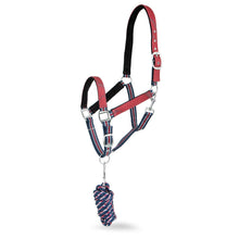 Load image into Gallery viewer, DS26 Jeffers Matching Horse Halter & Lead Rope 2 Piece Set, Full Size