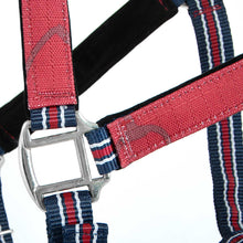 Load image into Gallery viewer, DS26 Jeffers Matching Horse Halter & Lead Rope 2 Piece Set, Full Size