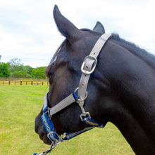 Load image into Gallery viewer, DS26 Jeffers Matching Horse Halter & Lead Rope 2 Piece Set, Full Size