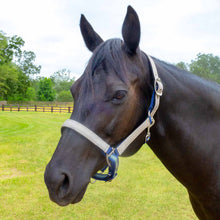 Load image into Gallery viewer, DS26 Jeffers Matching Horse Halter & Lead Rope 2 Piece Set, Full Size