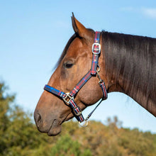 Load image into Gallery viewer, DS26 Jeffers Matching Horse Halter & Lead Rope 2 Piece Set, Full Size