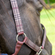 Load image into Gallery viewer, DS26 Jeffers Matching Horse Halter & Lead Rope 2 Piece Set, Full Size