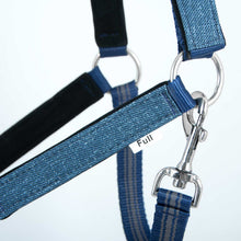 Load image into Gallery viewer, DS26 Jeffers Matching Horse Halter & Lead Rope 2 Piece Set, Full Size
