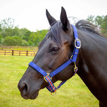 Load image into Gallery viewer, DS26 Jeffers Matching Horse Halter & Lead Rope 2 Piece Set, Full Size