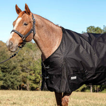 Load image into Gallery viewer, DS26 Jeffers Poplar Head "Origin" 600D Medium Weight Turnout Blanket, 240g | Waterproof & Breathable Horse Blanket