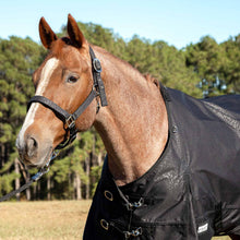 Load image into Gallery viewer, DS26 Jeffers Poplar Head "Origin" 600D Medium Weight Turnout Blanket, 240g | Waterproof & Breathable Horse Blanket