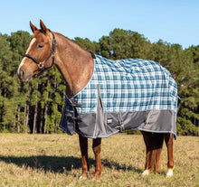 Load image into Gallery viewer, DS26 Jeffers Poplar Head "Origin" 600D Medium Weight Turnout Blanket, 240g | Waterproof & Breathable Horse Blanket