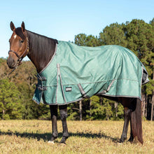 Load image into Gallery viewer, DS26 Jeffers Poplar Head Uniquely English 1200D Medium Weight Turnout Blanket, 240g - Waterproof & Breathable Horse Blanket