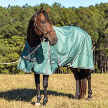 Load image into Gallery viewer, DS26 Jeffers Poplar Head Uniquely English 1200D Medium Weight Turnout Blanket, 240g - Waterproof & Breathable Horse Blanket