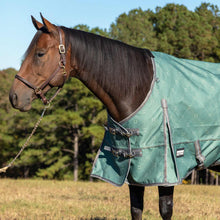 Load image into Gallery viewer, DS26 Jeffers Poplar Head Uniquely English 1200D Medium Weight Turnout Blanket, 240g - Waterproof & Breathable Horse Blanket