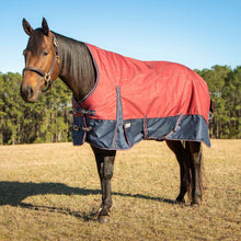 Load image into Gallery viewer, DS26 Jeffers Poplar Head Uniquely English 1200 Denier Turnout Blanket with High Neck, 240 Gram, Merlot Snaffles & Irons