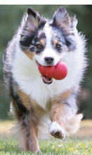 Load image into Gallery viewer, DS26 KONG Classic Dog Toy
