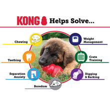 Load image into Gallery viewer, DS26 KONG Classic Dog Toy