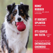 Load image into Gallery viewer, DS26 KONG Goodie Bone Rubber Dog Chew Toy, Medium