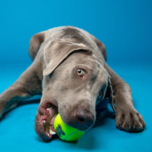 Load image into Gallery viewer, DS26 KONG SqueakAir® Ball – Durable Squeaker Tennis Ball Dog Toy for Fetch & Play