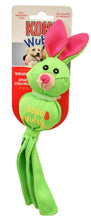Load image into Gallery viewer, DS26 KONG Wubba Ballistic Friends Durable Squeaker Dog Toys