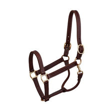 Load image into Gallery viewer, 765 Premium Show Leather Halter