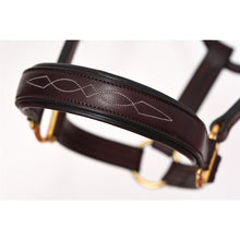 Load image into Gallery viewer, 220 Perris Padded Fancy Stitch Leather Halter