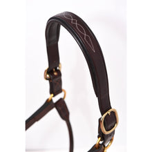 Load image into Gallery viewer, 220 Perris Padded Fancy Stitch Leather Halter