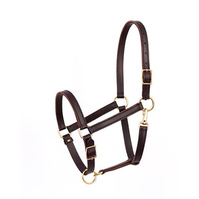 219 Leather Value Work Halter